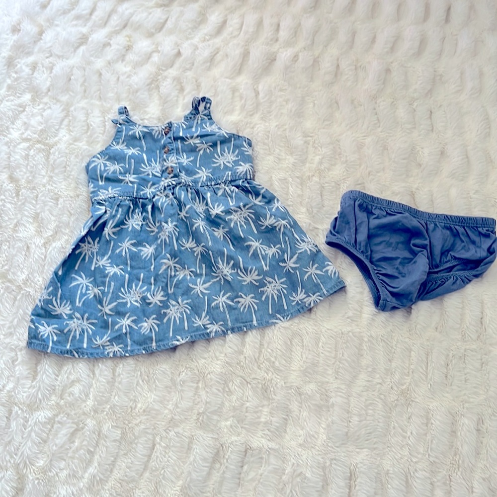 Baby girl dress with matching bloomers size 18 months.